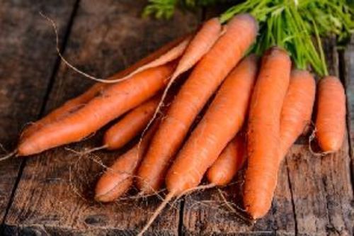 Fresh Orange Carrot for Food