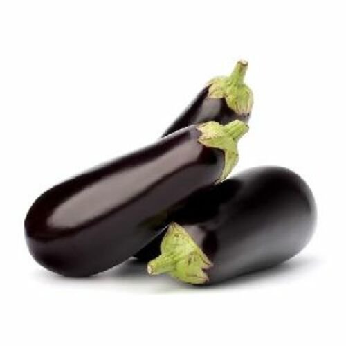 A Grade Fresh Brinjal For Cooking