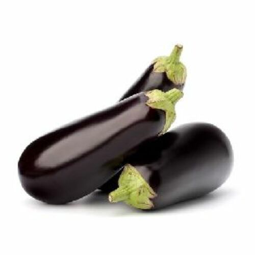 A Grade Fresh Brinjal For Cooking Preserving Compound: Cool And Dry Place