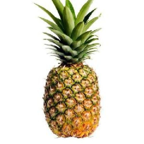 A Grade Fresh Pineapple Fruits