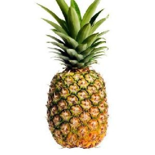 Green A Grade Fresh Pineapple Fruits