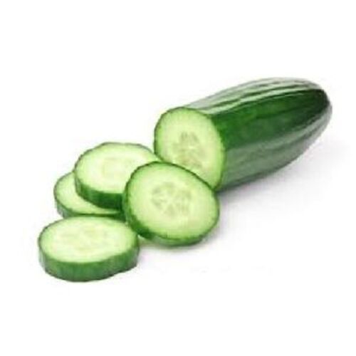 Fresh Green Cucumber for Food