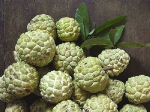 Fresh Green Custard Apple