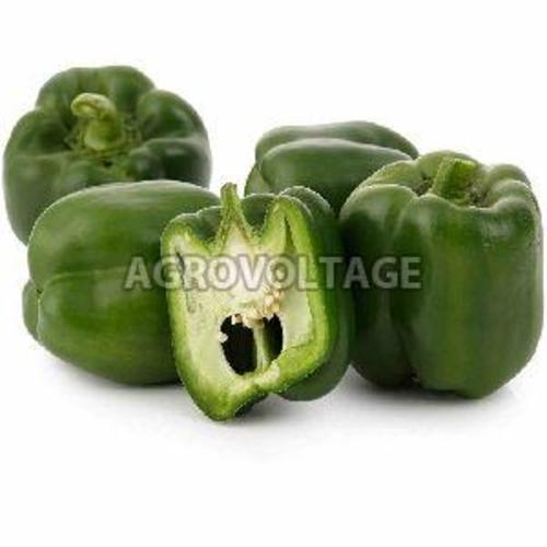 Green Fresh Capsicum for Cooking