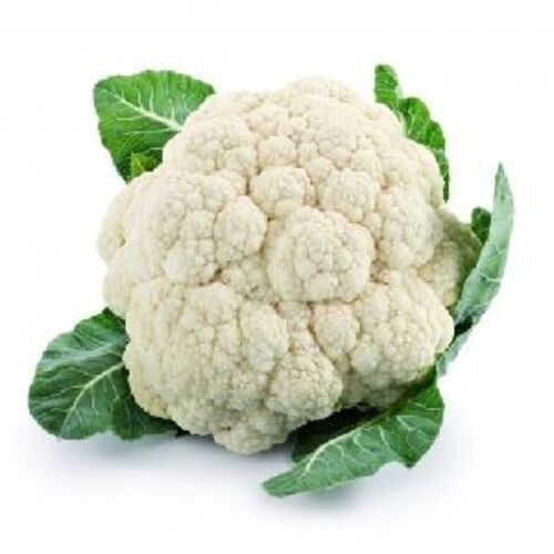 Green Fresh Cauliflower for Cooking