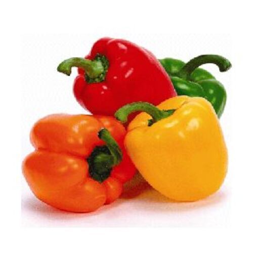 Organic Fresh Capsicum - Grade A, Red & Yellow Color, Oval Shape | Chopped, Good for Health, Available Year-Round, Cool and Dry Preservation