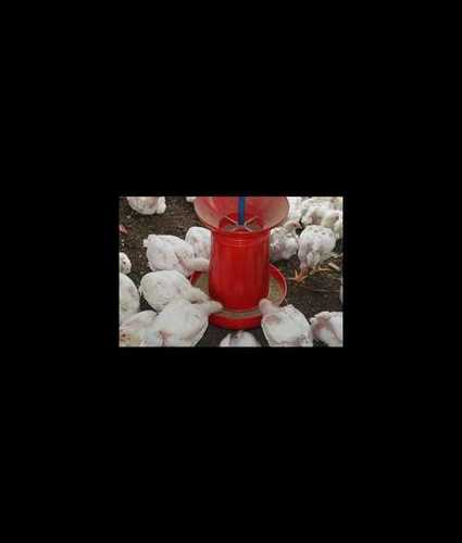 Red 8 Kg Jumbo Poultry Feeder