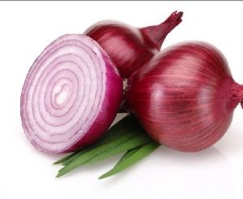 Fresh Red Onion for Cooking