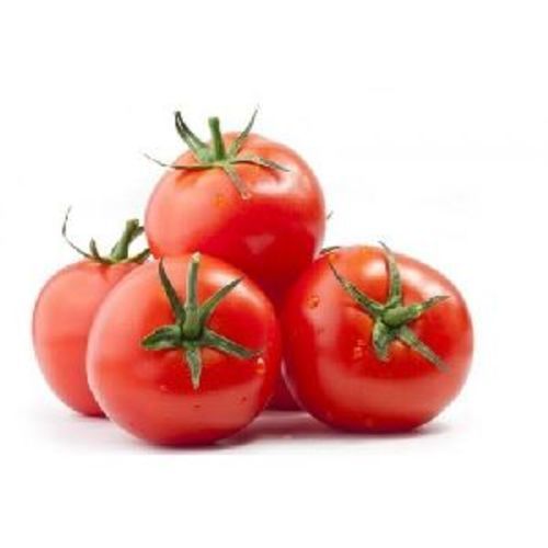 Fresh Red Tomato for Cooking