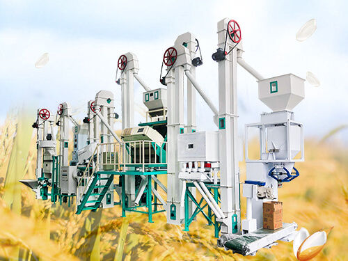 Fully Automatic and Rust Resistant Mctp30 Complete Rice Mill Plant