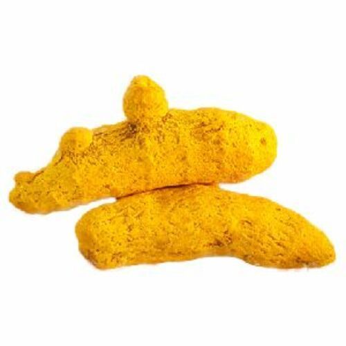 Yellow Turmeric Fingers - Fresh Very Good Quality, Fried Dried Spices with Natural Taste, Cool & Dry Storage