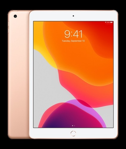 10.2 Inch iPad Late 2019 128 GB Wi-Fi Only Gold (Apple)