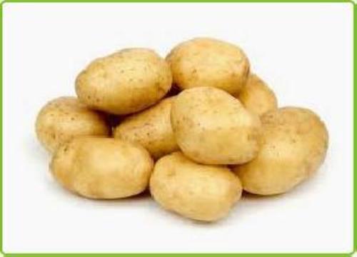 A Grade Fresh Potato for Cooking