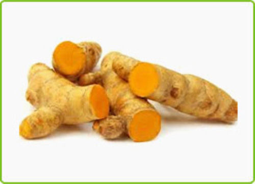 Dry Turmeric Roots for Food