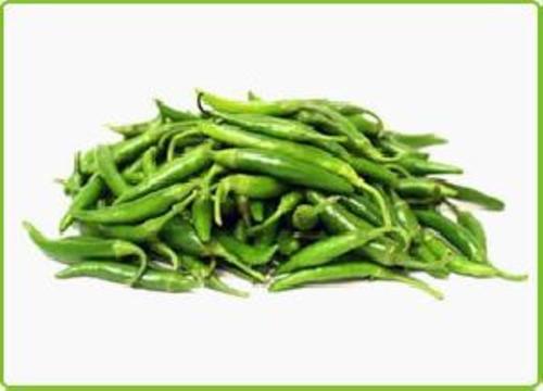 Fresh Green Chilli for Food