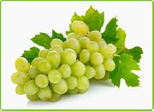 Organic Fresh Green Grapes Fruits