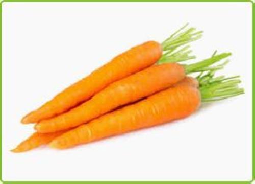 Fresh Orange Carrot for Food