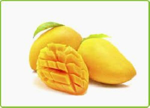 Yellow Fresh Mango Fruits