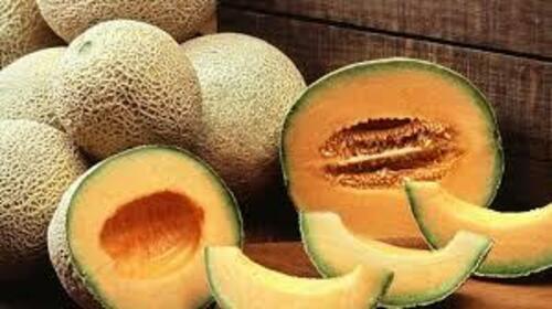 Green A Grade Fresh Muskmelon Fruits