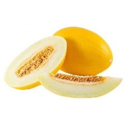 Yellow A Grade Fresh Muskmelon Fruits