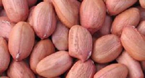 Organic Brown Bold Peanut Kernels