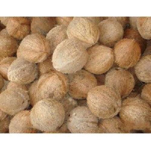 Brown Semi Husked Coconut - Fresh A Grade Matured Coconut | Organic, Full-Husked, Round Shape, Health Benefits, Pulp Rich