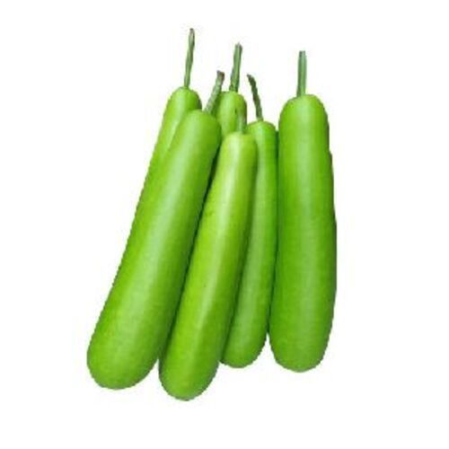 Fresh Bottle Gourd For Cooking Preserving Compound: Cool And Dry Place