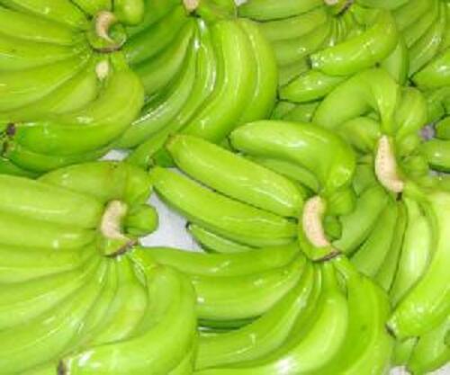 Fresh Cavendish Banana Fruits