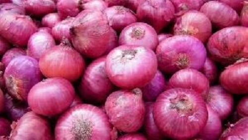 Fresh Natural Red Onion