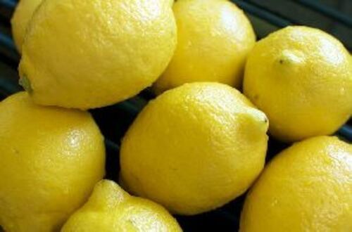 Fresh Yellow Lemon for Food