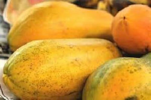 Natural Fresh Papaya Fruits