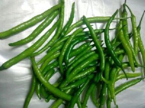 Natural Green Chilli for Food