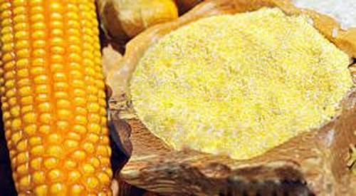 Yellow Maize Flour For Cooking Grade: Food Grade