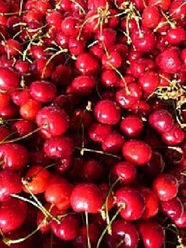 Fresh Red Cherry Fruits