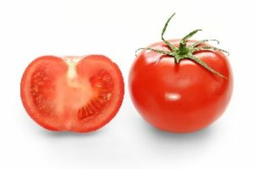 Fresh Red Tomato for Cooking