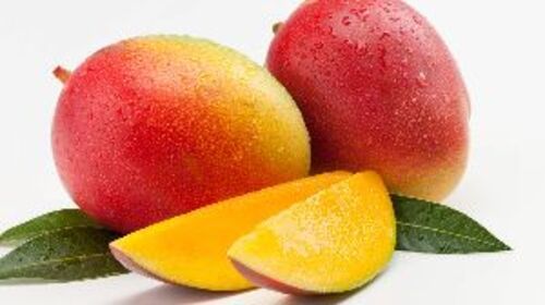 Organic Fresh Mango Fruits
