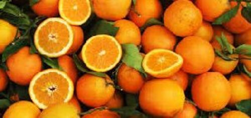 Organic Fresh Oranges Fruits