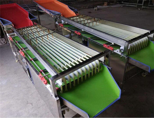 Heavy Duty Dates Sorting Machine