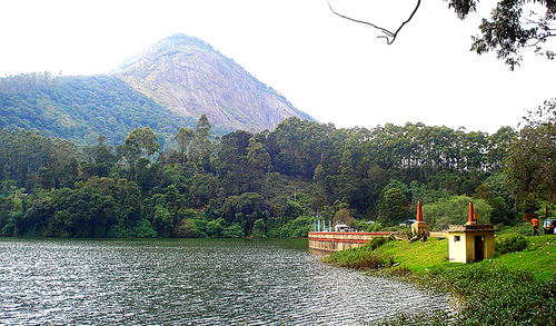 Munnar 2 Night 3 Day Tour Package Service By Munnar Thekkady Tourism