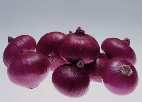 Fresh Red Onion for Cooking