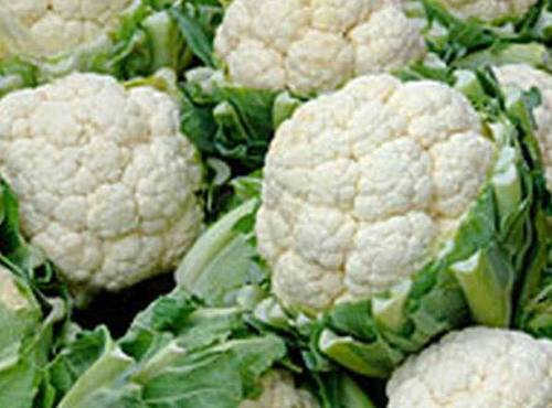 Green Fresh Cauliflower For Cooking Preserving Compound: Cool And Dry Place