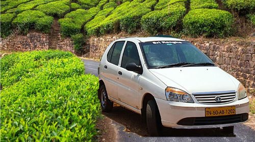 Vagamon One Day Trip Package Service