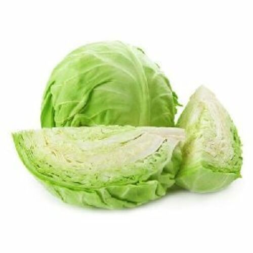 Fresh Green Cabbage for Cooking