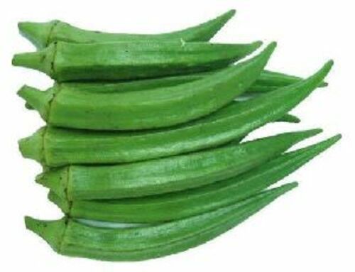 Fresh Green Okra for Cooking