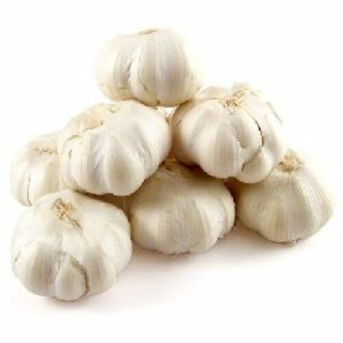 Fresh White Natural Garlic Moisture (%): 100%