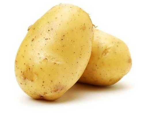 Medium Size Farm Fresh Potatoes