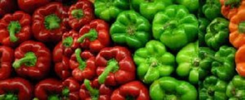 Fresh Green Capsicum For Cooking Preserving Compound: Cool And Dry Place