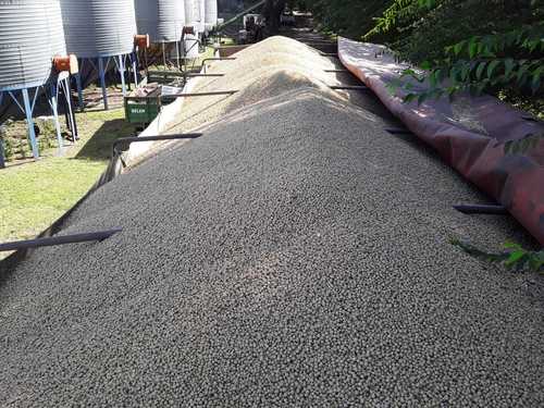 Bulk Organic Soyabean