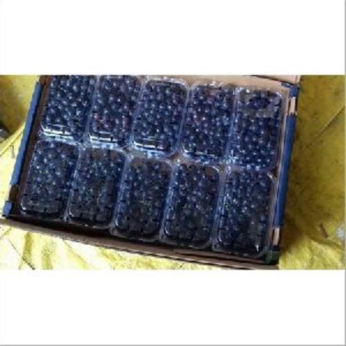 Organic Fresh Black Grapes Fruits