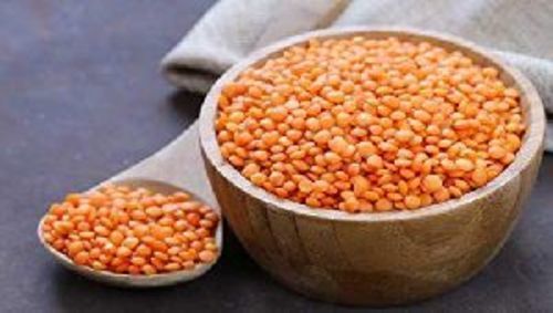 Organic Healthy Masoor Dal For Cooking